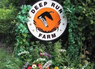 Around Deep Run Farm - a photo essay